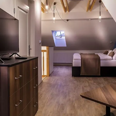 Apartament Hnizdo